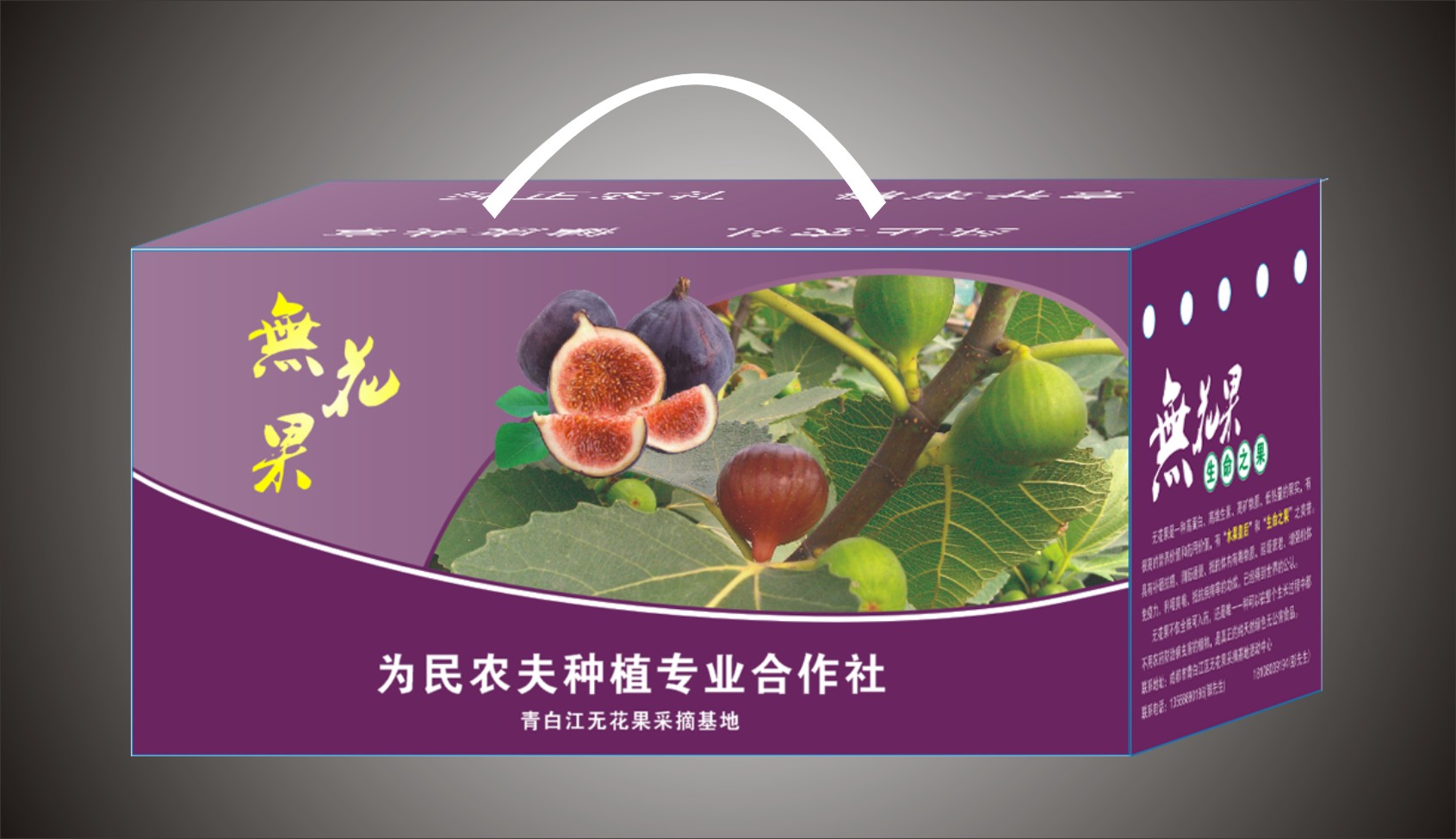 �o�������b